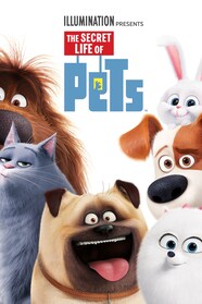 The Secret Life of Pets Full Movie Watch Online Stream or