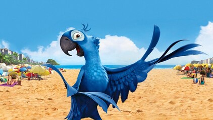 Rio Full Movie Watch Online Stream Or Download Chili