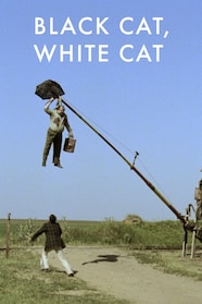 Black Cat White Cat Full Movie Watch Online Stream or Download