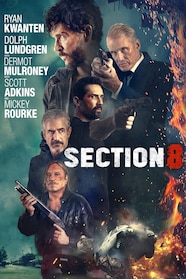Section 8 Stream