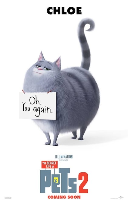 The Secret Life Of Pets 2 Full Movie Watch Online Stream Or Download Chili