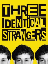 Three identical 2025 strangers putlocker